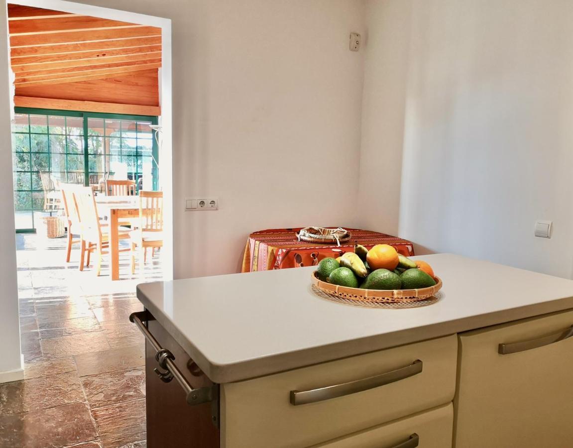 Villa Nanou House La Matanza De Acentejo Exterior foto